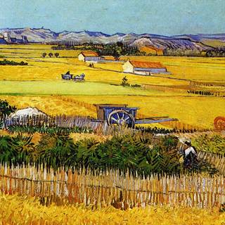 Vincent Willem van Gogh wallpaper