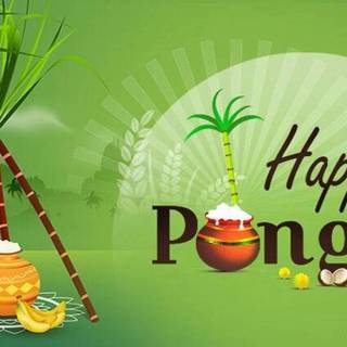Pongal wishes wallpaper