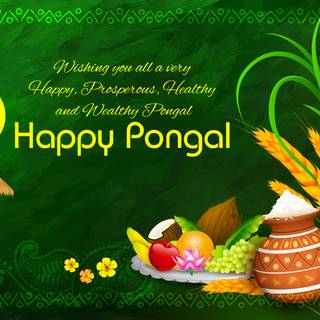 Pongal wishes wallpaper
