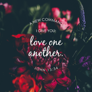 The Loved One wallpaper