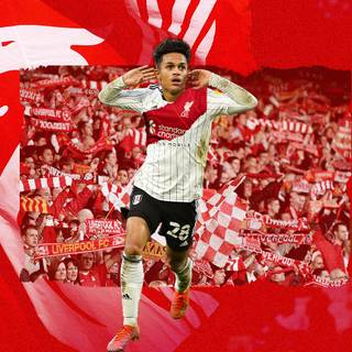 Fabio Carvalho wallpaper