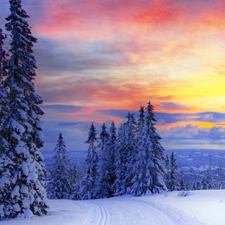 iPhone HD winter season wallpaper