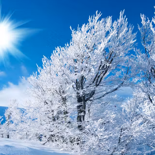 Desktop abstract winter wallpaper