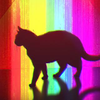 Glitter cat wallpaper