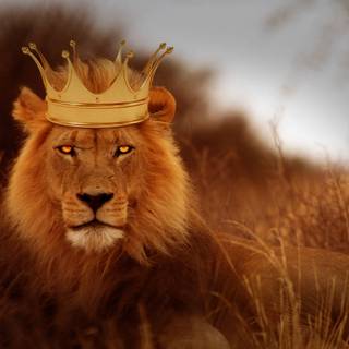 Crown lion wallpaper