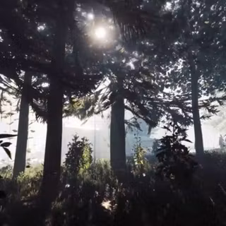 Sons of The Forest wallpaper