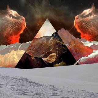 Majestic cat wallpaper