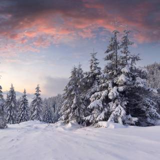 Ultra widescreen wallpaper