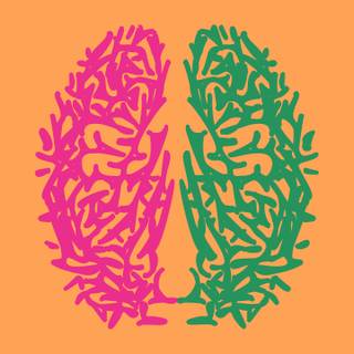 Bilingualism wallpaper