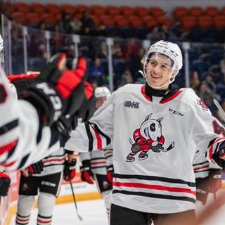 Niagara Ice Dog logos wallpaper