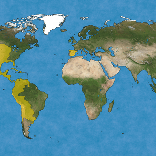 Spanish Empire wallpaper