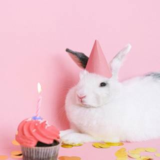 Birthday hat wallpaper