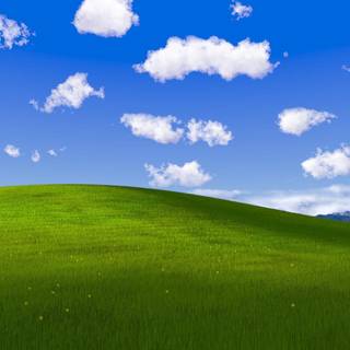 Spring Windows XP wallpaper
