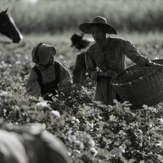 Emancipation wallpaper