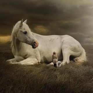 Dogs and horses wallpaper