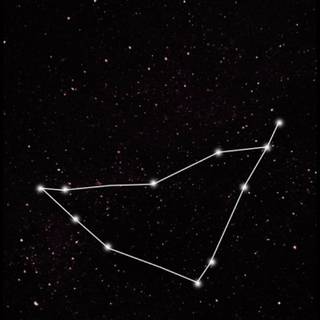 Cute Capricorn wallpaper