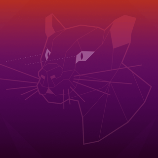 Focal Fossa wallpaper