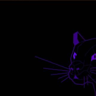 Focal Fossa wallpaper