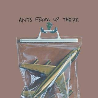 Black Country New Road wallpaper