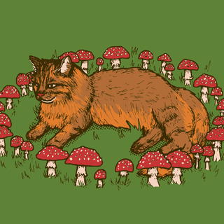 Mushroom cat wallpaper
