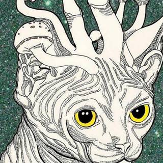 Mushroom cat wallpaper