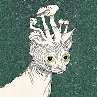 Mushroom cat wallpaper