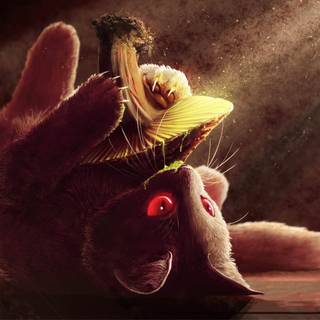 Mushroom cat wallpaper