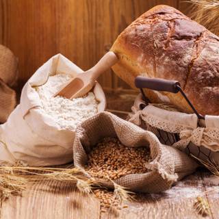 Wheat flour wallpaper