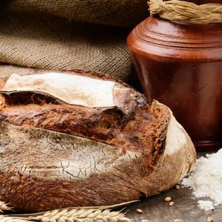 Wheat flour wallpaper