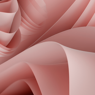 Windows 11 pink wallpaper