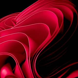 Windows 11 pink wallpaper