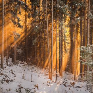 4k winter warm wallpaper