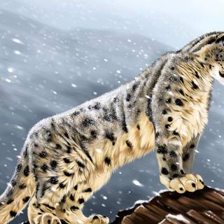 Snow leopard PC wallpaper