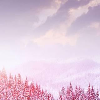 Winter 4k iPhone wallpaper