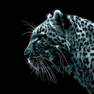Snow leopard PC wallpaper