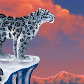 Snow leopard PC wallpaper