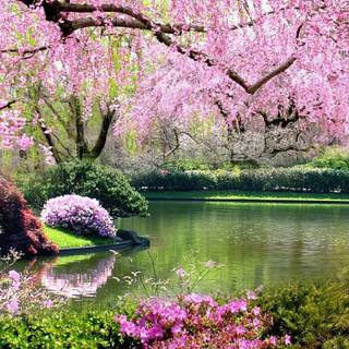 Cozy spring aesthetic desktop wallpaper