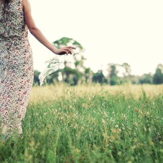 Spring walk wallpaper