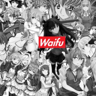 All anime 2023 wallpaper