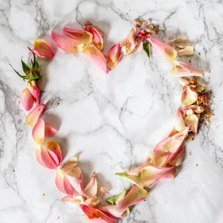 Cute white Valentines wallpaper