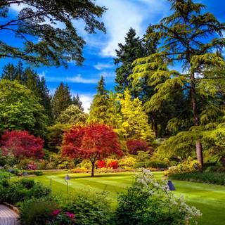 Spring walk wallpaper