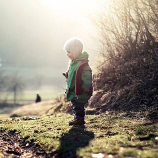 Spring walk wallpaper