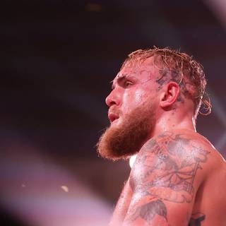 Jake Paul 2023 wallpaper