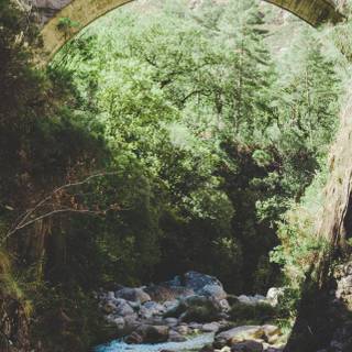 Spring walk wallpaper