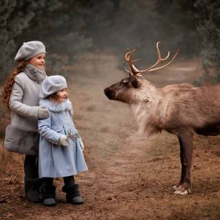 Deer Valentines wallpaper