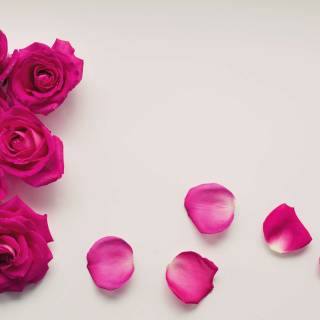 Valentines frame wallpaper