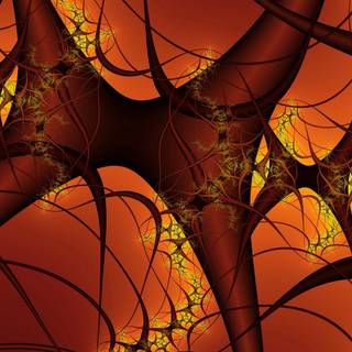 Blood vessels wallpaper