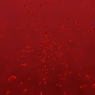 Blood vessels wallpaper