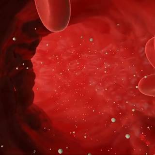 Blood vessels wallpaper