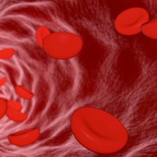 Blood vessels wallpaper